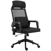 Vinsetto Office Chair High Back Mesh Desk Chair with 2-Point Vibration Massage Lumbar Support Pillow, Headrest, Ergonomic Swivel Back(m-11)