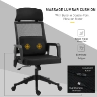 Vinsetto Office Chair High Back Mesh Desk Chair with 2-Point Vibration Massage Lumbar Support Pillow, Headrest, Ergonomic Swivel Back(m-4)