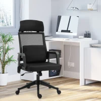 Vinsetto Office Chair High Back Mesh Desk Chair with 2-Point Vibration Massage Lumbar Support Pillow, Headrest, Ergonomic Swivel Back(m-1)