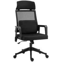 Vinsetto Office Chair High Back Mesh Desk Chair with 2-Point Vibration Massage Lumbar Support Pillow, Headrest, Ergonomic Swivel Back(m-2)