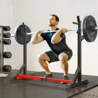 Soozier Steel Height and Base Adjustable Barbell Squat Rack and Bench Press(m-1)
