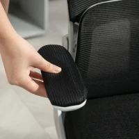 Vinsetto High Back Office Chair, Mesh Computer Desk Chair with Rotatable Headrest, Lumbar Back Support, Adjustable Height, Black(m-11)