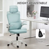 Vinsetto High Back Office Chair, Mesh Computer Chair with Rotatable Headrest, Lumbar Back Support, Adjustable Height, Light Blue(m-4)