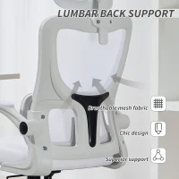 Vinsetto High Back Office Chair, Mesh Computer Chair with Rotatable Headrest, Lumbar Back Support, Adjustable Height, Cream White(m-6)