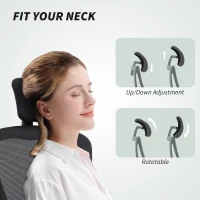 HOMCOM Ergonomic Office Chair, Mesh Desk Chair with Adjustable Headrest, Lumbar Support and Height, Flip-Up Armrests, Black(m-6)