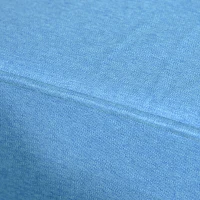 HOMCOM Stylish Midback Double Sofa with Sponge Padding, 2 Seater Sofa Couch, with Rubber Wood Leg, Light Blue(m-9)