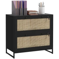 Vinsetto 2-Drawer Filing Cabinet with Lock, Rattan File Cabinet with Adjustable Hanging Bar, Black(m-11)