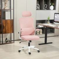 Vinsetto High Back Office Chair, Mesh Computer Desk Chair with Rotatable Headrest, Lumbar Back Support, Adjustable Height, Pink(m-8)