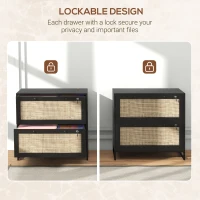 Vinsetto 2-Drawer Filing Cabinet with Lock, Rattan File Cabinet with Adjustable Hanging Bar, Black(m-6)