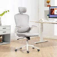 HOMCOM Ergonomic Mesh Office Chair, High Back Desk Chair with Rotatable Headrest, Flip-Up Armrests, Lumbar Support, Grey(m-8)