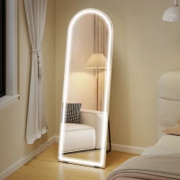 HOMCOM Free Standing Mirror with Dimmable and 3 Colour LED Lights 64" x 21" Arched Floor Mirror for Bedroom Living Room Silver(m-1)