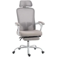HOMCOM Ergonomic Office Chair, Mesh Reclining Desk Chair with Adjustable Lumbar Support, Headrest, Grey(m-2)