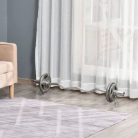 Soozier Set of 4 Weight Plates for 2"/5cm hole Dumbbell Handle Bar, 33 lbs Dumbbell Plates Barbell Weights, 2 x 11 lbs, 2 x 5.5 lbs, Silver(m-8)