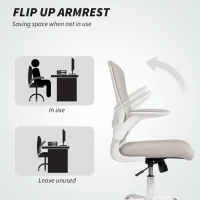 HOMCOM Ergonomic Mesh Office Chair with 4D Lumbar Support, Swivel Desk Chair with Flip-up Armrests, Tilt Function, Grey(m-5)