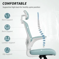 HOMCOM Ergonomic Office Chair, Mesh Desk Chair with Adjustable Headrest, Lumbar Support and Height, Tilt Function, Light Green(m-4)