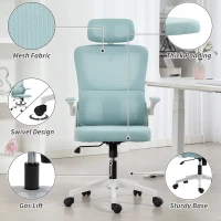 Vinsetto High Back Office Chair, Mesh Computer Chair with Rotatable Headrest, Lumbar Back Support, Adjustable Height, Light Blue(m-9)