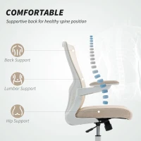HOMCOM Ergonomic Office Chair, Swivel Desk Chair with Adjustable Lumbar Support and Height, Flip-up Armrests, Wheels, Beige(m-4)