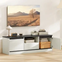 HOMCOM TV Stand for 43-55 Inch TV,  Entertainment Center w/ Cabinets, Shelf, Drawer and Cable Management for Living Room, White(m-8)