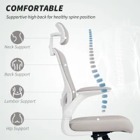 HOMCOM Ergonomic Office Chair, Mesh Desk Chair with Adjustable Headrest, Lumbar Support and Height, Flip-Up Armrests, Grey(m-4)