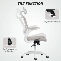 HOMCOM Ergonomic Office Chair, Mesh Desk Chair with Adjustable Headrest, Lumbar Support and Height, Flip-Up Armrests, Grey(m-9)