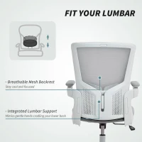 HOMCOM Ergonomic Office Chair, Swivel Desk Chair with Adjustable Lumbar Support and Height, Flip-up Armrests, Wheels, Grey(m-5)