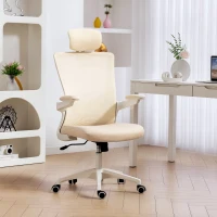 HOMCOM Ergonomic Office Chair, Swivel Desk Chair with Adjustable Lumbar Support, Headrest and Height, Flip-up Armrests, Beige(m-1)