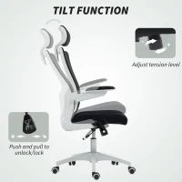 HOMCOM Ergonomic Office Chair, Swivel Desk Chair with Adjustable Lumbar Support, Headrest and Height, Flip-up Armrests, Black(m-9)