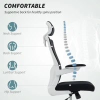 HOMCOM Ergonomic Office Chair, Swivel Desk Chair with Adjustable Lumbar Support, Headrest and Height, Flip-up Armrests, Black(m-4)