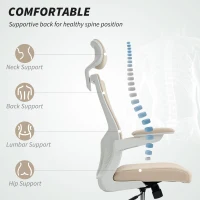 HOMCOM Ergonomic Office Chair, Swivel Desk Chair with Adjustable Lumbar Support, Headrest and Height, Flip-up Armrests, Beige(m-4)