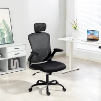 HOMCOM Ergonomic Office Chair, Mesh Desk Chair with Adjustable Headrest, Lumbar Support and Height, Flip-Up Armrests, Black(m-1)