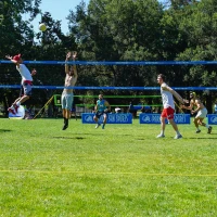 Park & Sun Sports Spectrum Classic Adjustable Outdoor Volleyball System - Professional Portable Net with Aircraft-Aluminum Poles(m-6)