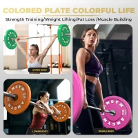 2-Inch Olympic Bumper Plates Set (10–500 lbs Options) — Natural Rubber Barbell Weights for Home Gym, Strength Training & Weightlifting, Color-Coded(m-9)