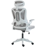 HOMCOM Ergonomic Office Chair, Swivel Desk Chair with Adjustable Lumbar Support, Headrest and Height, Flip-up Armrests, Grey(m-11)