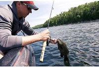 Ugly Stik Elite 6'6"" Spinning Rod(m-5)