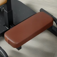 Soozier Foldable Sissy Squat Machine, Hip Thrust Machine with Push Up Stand, Multipurpose Glute Workout Equipment, Black(m-8)