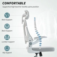 HOMCOM Ergonomic Office Chair, Swivel Desk Chair with Adjustable Lumbar Support, Headrest and Height, Flip-up Armrests, Grey(m-4)
