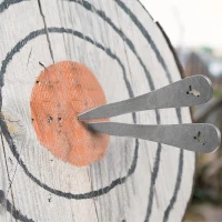 The Beak 6-Pack Throwing Spikes Set — 0.236"" Thick Premium Stainless Steel with Sheath for Beginners and Pros(m-5)