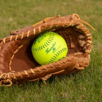 DUDLEY Slowpitch Softballs | Official USASB & USSSA | 12-inch Multiple 12-Count Options(m-4)