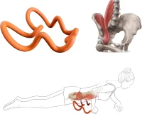 Shoulder Deep Tissue Massager - Myofascial Trigger Point Tool for Scapular, Upper Back, Psoas, Levator Scapulae, Pelvis & Hip Flexor Pain(m-6)