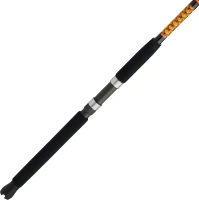 Ugly Stik Bigwater Spinning Rod(m-2)
