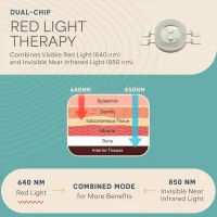 Lifepro FlexStride Under-Desk Elliptical with Optional Red Light Therapy – Quiet Seated Pedal Exerciser for Seniors & Adults, Portable Home/Office Leg Trainer(m-2)