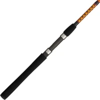 Ugly Stik Bigwater Spinning Rod(m-1)