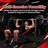 JupiterForce Adjustable Squat Rack Stands (Pair) — Heavy-Duty Steel Bench/Barbell Racks, 40–66"" Adjustable Height, 550 lb Capacity, Portable H-Base, Black(m-2)