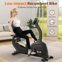 JEEKEE Recumbent Stationary Bike for Seniors — Home Exercise Bike, 300 lb Capacity, 16-Level Magnetic Resistance with Heart-Rate Handles(m-2)