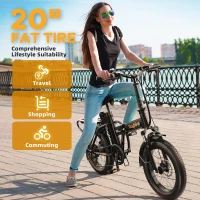 1000W Folding Electric Bike — 48V 20Ah Removable Battery, 30+ MPH Top Speed, Up to 80-Mile Range, 20"" Fat-Tire Foldable E-Bike(m-8)