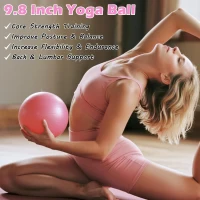 Comprehensive Home Pilates Kit – Ring, Ball, Bands & Accessories Set with Weights, Sliders and Storage Bag for Women’s Pilates, Yoga & Core Workouts(m-7)