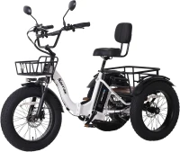 Narrak Folding Adult Electric Trike — 750W (Peak 1350W), 48V 13Ah UL Battery, 20x4"" Fat Tires, Rear Differential, Hydraulic Brakes, Foldable 3-Wheel Ebike(m-1)