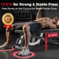 FLYBIRD Strength Training Bench — Adjustable, Foldable Space-Saving Weight Bench for Home Gym (Vertical Storage)(m-8)