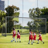 MOPHOTO Soccer Goal - Backyard & Full-Size Training Goals in Multiple Sizes (6x4 to 24x8 ft) for Teens & Adults(m-1)