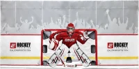 EALER Hockey Shooting Tarp — 7x10 FT & 7/8x16 FT Combined Heavy-Duty Goalie Target and Garage Wall Protector(m-1)